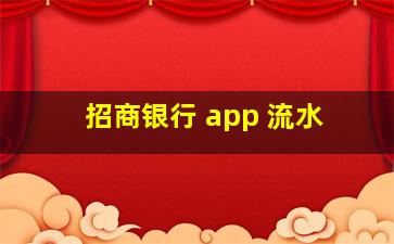 招商银行 app 流水